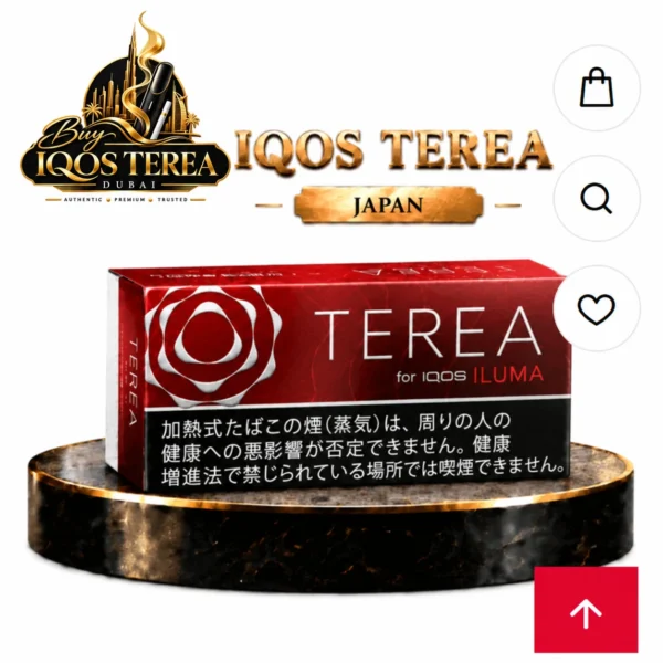 IQOS TEREA Bold Regular Japan