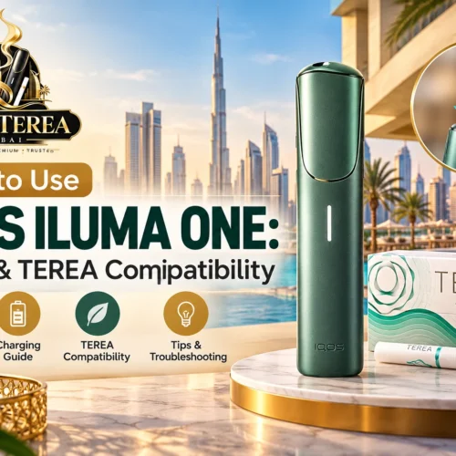 How to Use IQOS ILUMA ONE: Setup & TEREA Compatibility Guide
